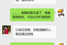 宜昌为什么选择专业追讨公司来处理您的债务纠纷？